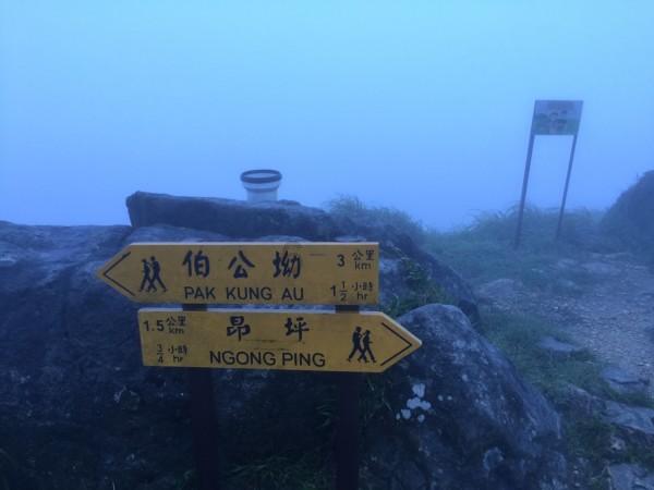 正在被痔疮折磨的姐妹们集合了!这个办法太牛了!